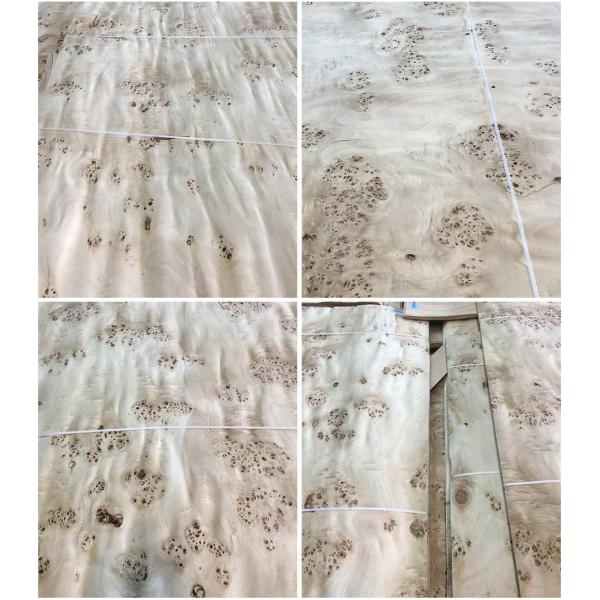 Древесина тополя Европы естественная лощит толщину 0.5mm зерна узелка Mapa высококачественную для музыкального инструмента