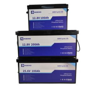 Confección de baterías Lifepo4 compacta con BMS 6000 ciclos para uso marino de