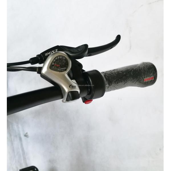 1000W 48V 21AH 7 Speed Disc Brake 20