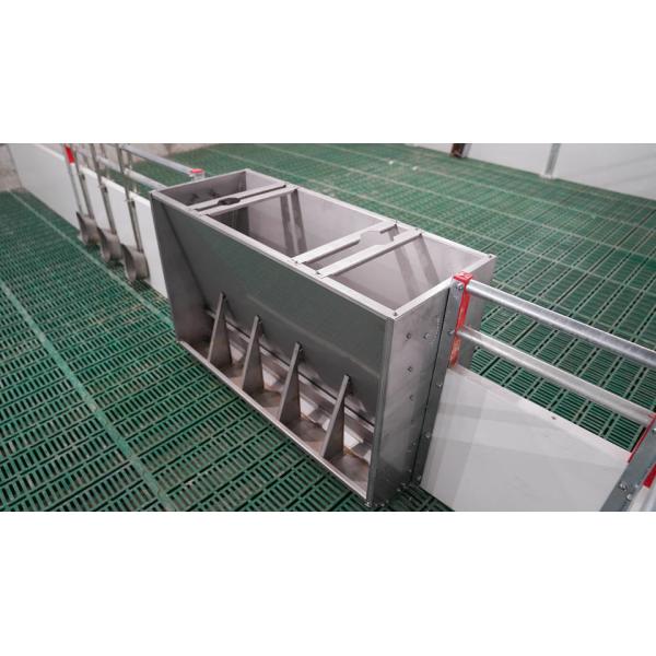 Husbandry Stainless Steel Auto Feeder For Pigs Hog Anti Rust