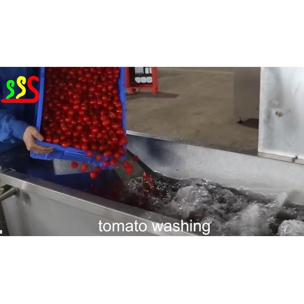 Производственная линия плода свежего томата средняя