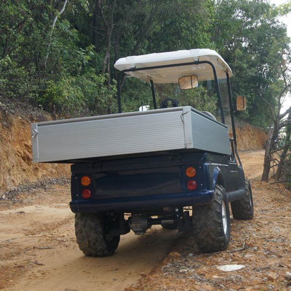 Blue Electric Utility Carts Built with High Frequency 48v 3.7kwRegulators and Curtis Controllers for Smooth Driving Experience