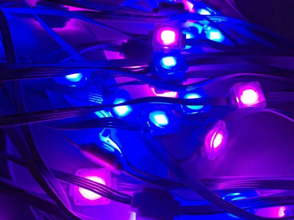 RGBW アミューズメントパーク 永久 50ft/100ft クリスマス ピクセル LED点灯 屋外装飾 ピクセル スマート イーブス ストリング