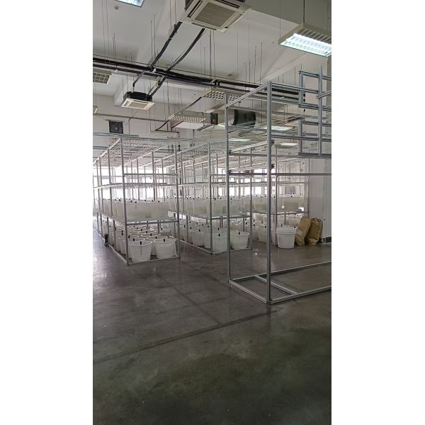 Customized Membrane Production Services Focused on Delivering High Precision Filtration Solutions for Industrial Clients