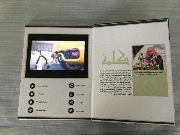 Convenient Digital Video Book Rechargeable For Government ROHS