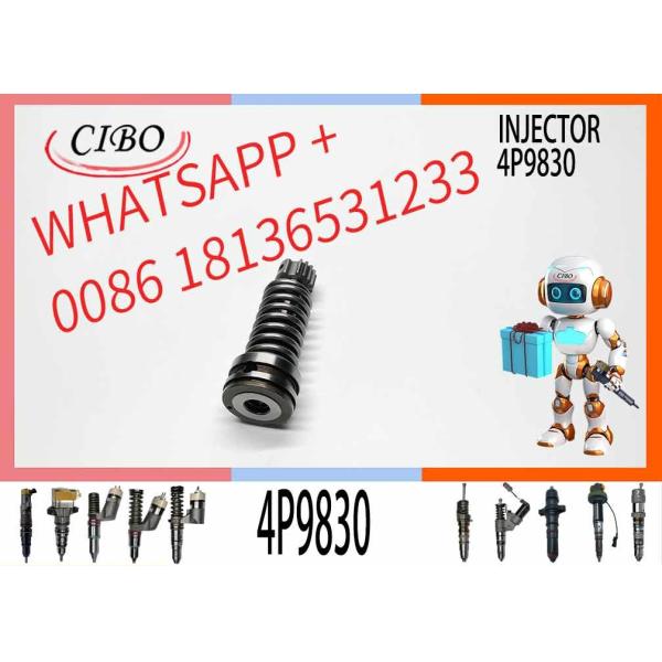 Plongeur de pompe d'injection de carburant de 1W6541 1W-6541 4P9830 4P-9830 pour l'excavatrice du moteur E330B E330 E350 de 3306 3306B