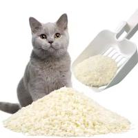 3 secondes d'absorption de l'eau pour les chats