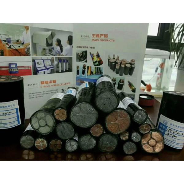Polyvinyl Chloride XLPE Copper Cable Abrasion Resistant 0.75mm2 - 1000mm2