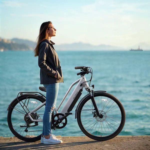 C622 500W Electric City Bike 48V Lithium Electric Mountain Bike with Lithium Battery Carbon Steel Frame 7-Speed Brushless Motor