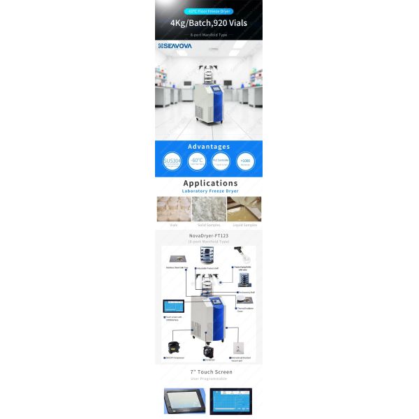 4kg Per Batch Lab Lyophilizer SS304 Chamber Laboratory Freeze Dryers