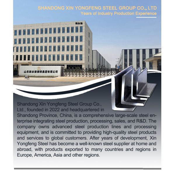 38x38mm Equal Structural Steel Profiles Powder Coated Slotted Angle Steel Bars