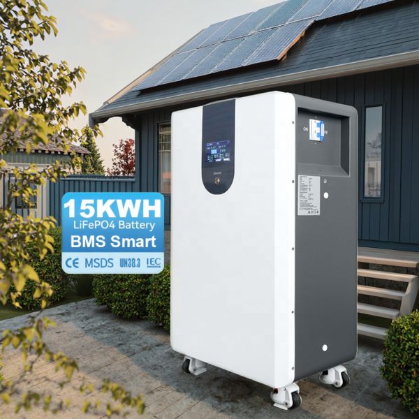 15kWh Capacity 51.2V LiFePO4 Battery for Home Energy Storage with Wall-Mounted Installation