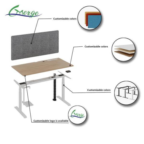 Modern Work Office Desk with Cable Management Uplift Standing Desk 355 Lbs Weight Capacity Modern Style