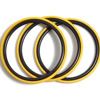 2023 PTFE NBR Yellow Spgo Pgr Piston Seals Hydraulic Seal Buy Glyd Ring Seal Product