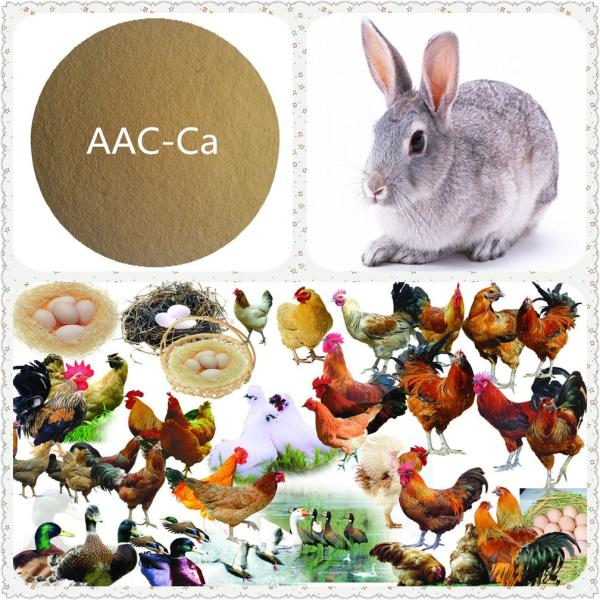 Птица кормит аминокислоту меди питания аминокислоты хелатировала 3 лет срока годности при хранении