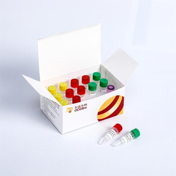 K001-A K001-B NGS Library Construction Illumina High Throughput Sequencing Platform Fast DNA Library Prep Kit