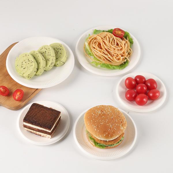 47.00cm * 33.00cm * 31.50cm Eco-Friendly 9inch Sugarcane Bagasse Round Disposable Plate
