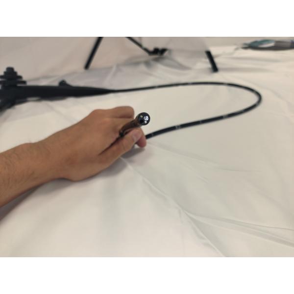 Электрический ветеринарный видео гастроскоп Колоноскоп Гибкая медицинская камера эндоскопа