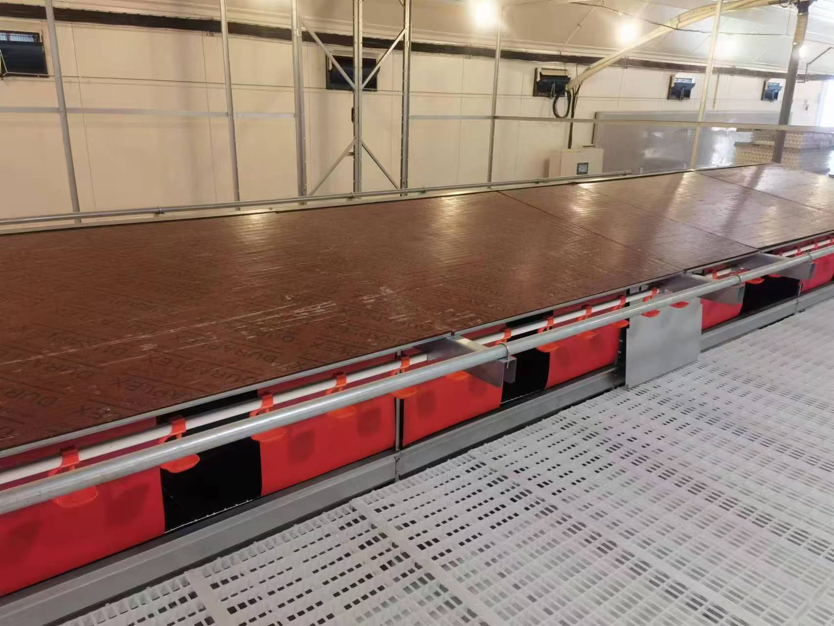 Fully Automatic Nest Box Corrosion Resistant Layer Box for Poultry Breeding