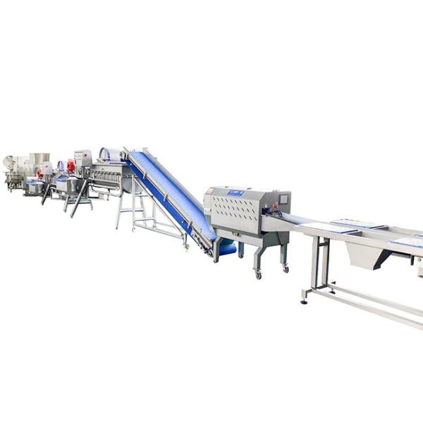 Máquina de lavar cebolas em pedaços 2000 kg/h
