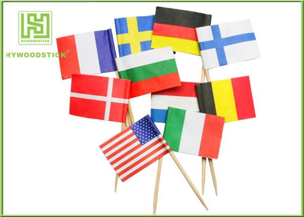 Custom International Flag Toothpicks , Different Design Cupcake Toothpicks Party Decoration Items