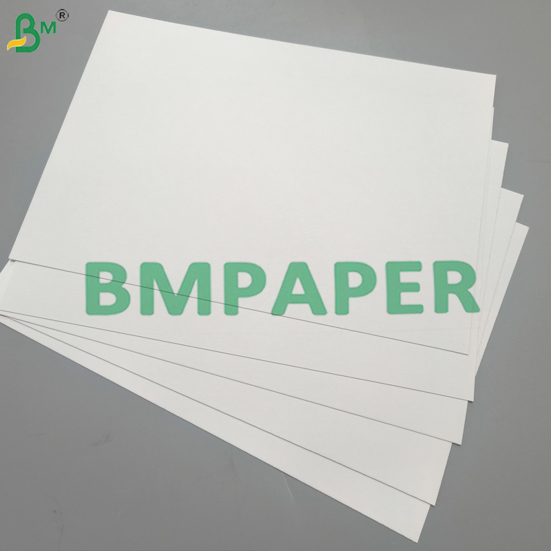 250gsm Fully Coated GC2 White Folding Box Board Manila Back For Bakery Products