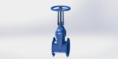 PN25 Ductile Iron Gate Valve Manual Operated Flange Type