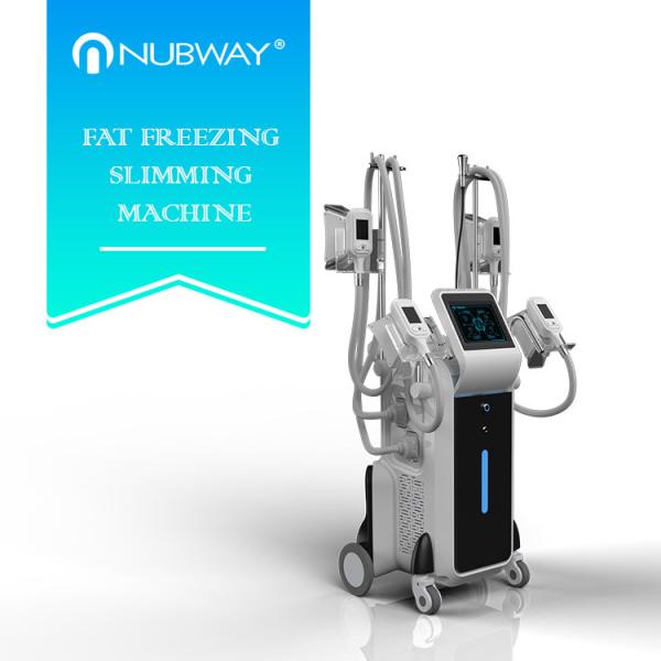 2500w big power standing cryolipolysis with 4 different size handles for whole body and double chin treatment