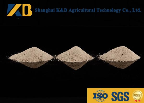 High Protein Content Rice Protein Powder Feed Grade With Yellowish Colour