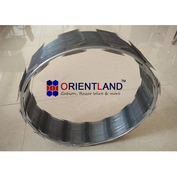CBT 65 Concertina L Type Razor Barbed Wire 14-16m Length Garden Protection