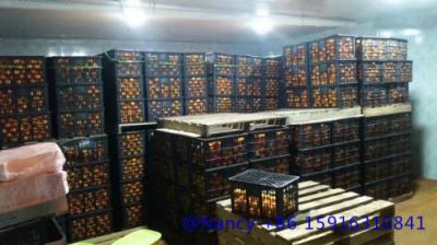 orange fresh storage，the temperature is between3℃ and 5 ℃,keep the orange fresh