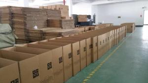 EVENSUN COMPANY LIMITED
