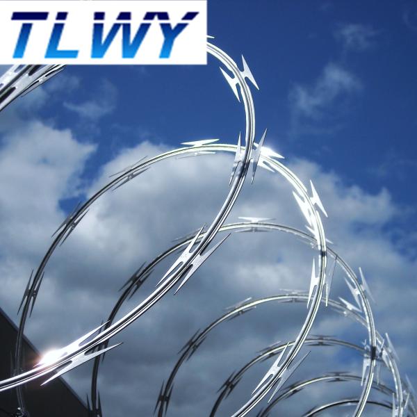 1.5mmx1.5mm Diamond Welded Razor Wire Mesh Electro Galvanized