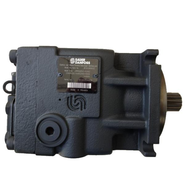 Danfoss Hydraulic Pump JRR065CLS2620NNN3S1N4A2NNNNNNNNNN Cast Iron Black High Efficiency Strong Flexibility