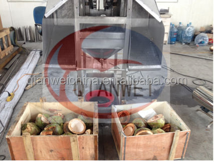 Turnkey Virgin Automatic Processing Line Coconut Water Oil Extracting Machine Extractor