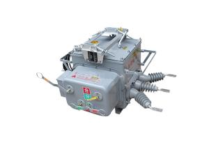 ZW20(F) 12kV Outdoor Vcb Stainless Steel Made Industrial Breaker Boundary Vacuum