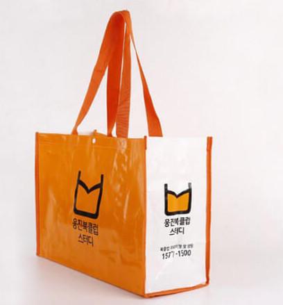 PP Woven Plastic Shopping Bag
