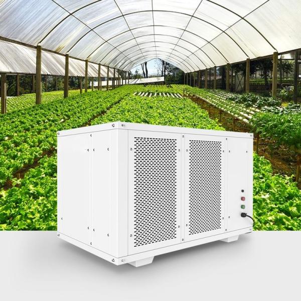500Pint/D Factory Price Product Thailand Greenhouse Ceiling Mounted Dehumidifier Air Dry Dehumidifier for Industry