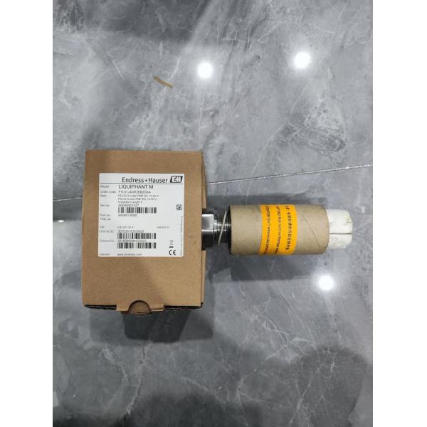 E+H FTL51-AGR2DB2G5A E+H Fork Level Switch 4-20 MA Output 316L Anti Corrosion Probe