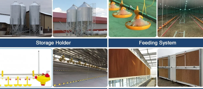 Hot-Dip Galvanized Steel Structure Chicken Coop with Modular Design and Customizable Dimensions for Poultry Farm Building