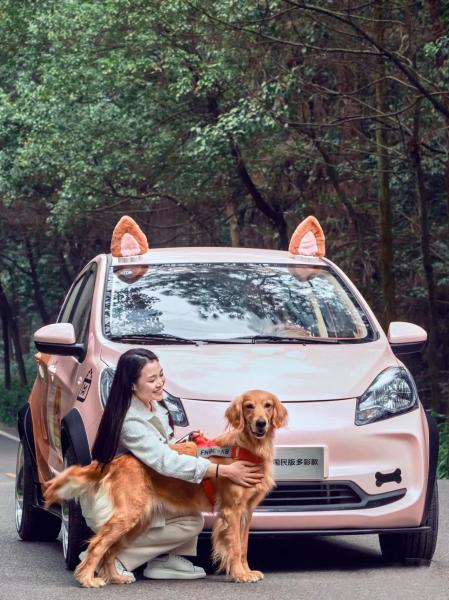 Changan Benben E-Star Electric Car 2023 Model 5 Door 5 Seats Pure Electric 75HP 301km Range 101km/h Full load weight 1150KG