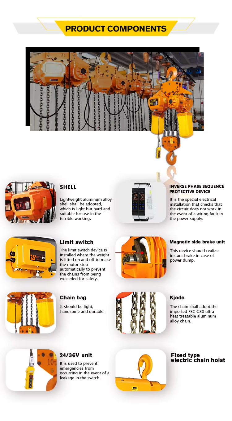 20t Max Lifting Load Electric Chain Hoist with Custom Voltage for Industrial Crane Applications