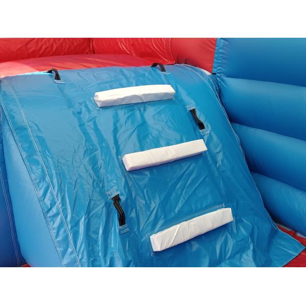 Commercial Outdoor Géant gonflable toboggan à eau Delfine Poulpe dessin animé gonflable double toboggan pour enfants et adultes