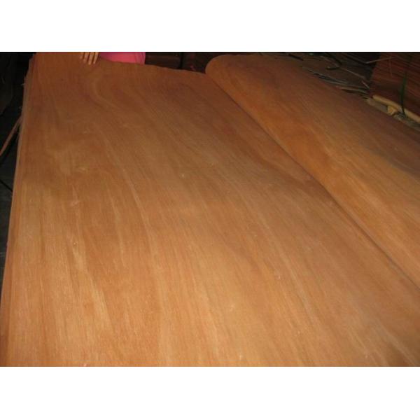 Rotary Cut Red Canarium Wood Veneer Sheet, Face/Back Grade