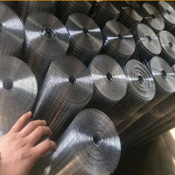 2x2 Inch Steel 4mm Galvanized Welded Wire Mesh Roll For Fence