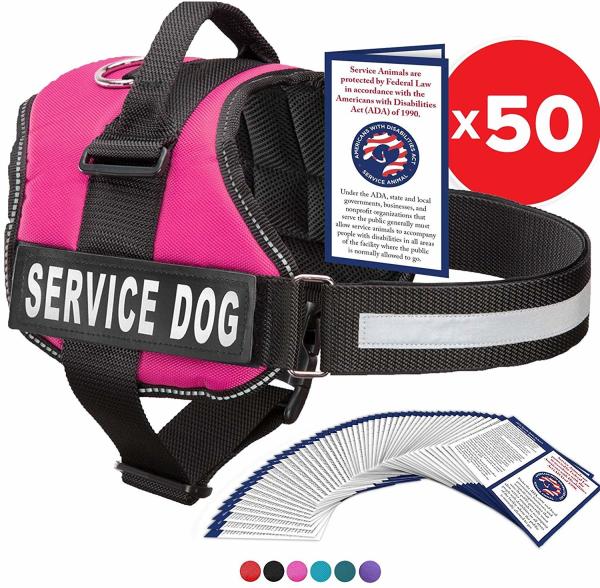 Multicolored Comfortable Pet Harness Mesh Padding Working K9 Eco - Friendly