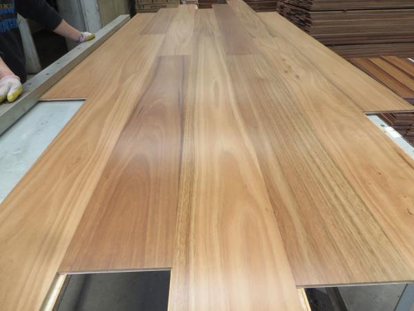 5G click Blackbutt Engineered Timber Flooring, smooth and high gloss finishing, square edge