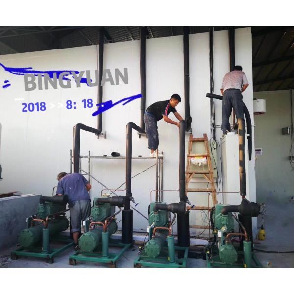 220 Volt SUS304 10 Tonne Ice Cube Maker Machine