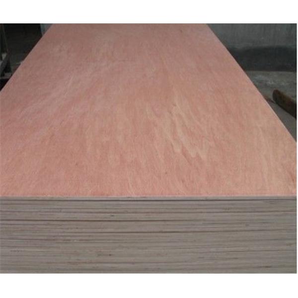 WB Phenolic Bintangor Plywood