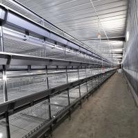 jaula del equipo de cultivo del pollo tomatero del HDG de la capa de la altura 2.5m m de los 2.8m higiénica